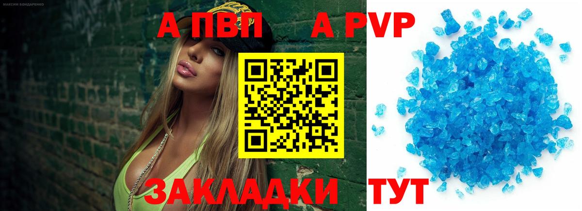 Alfa_PVP СК Тамбов