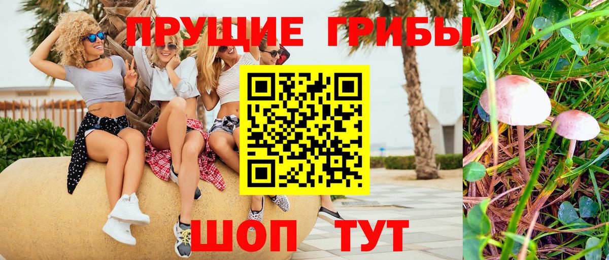 Галлюциногенные грибы мицелий  Псилоцибиновые грибы Psilocybine cubensis  Тамбов  Вход с VPN 